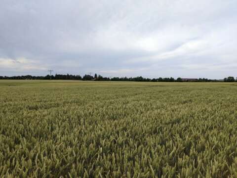2022 UK Flour Millers visits Germany